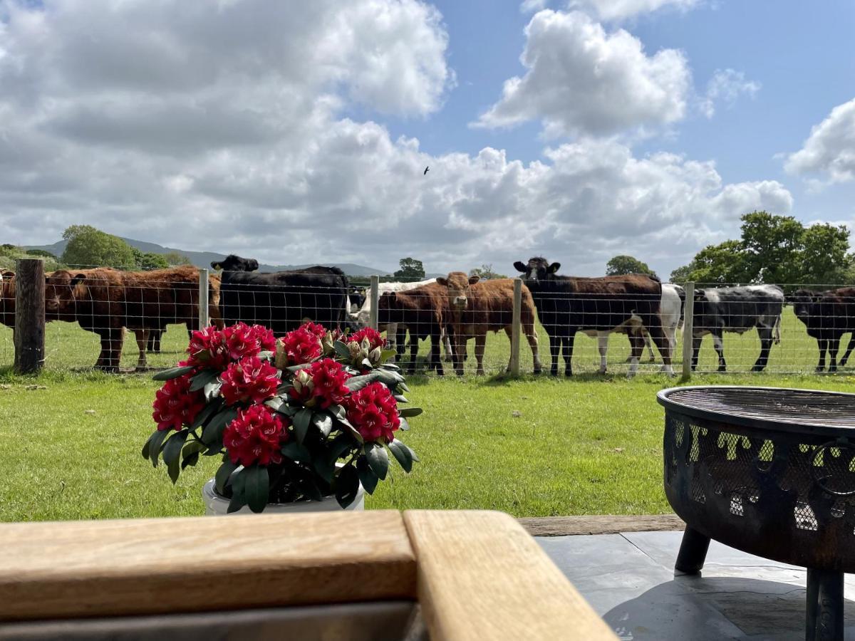 Hotel Abbey Farm Luxury Glamping Rhuddlan Exterior foto